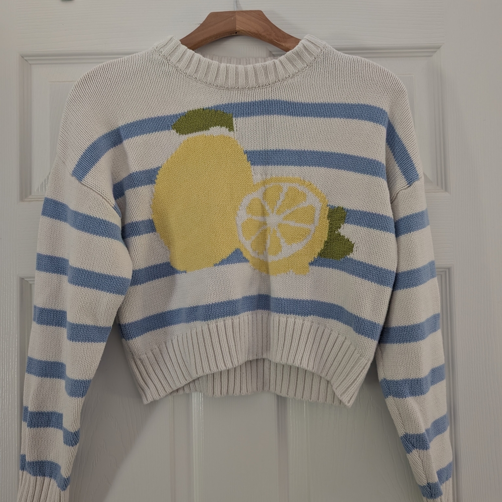 Lemon Striped Sweater - Blue and White